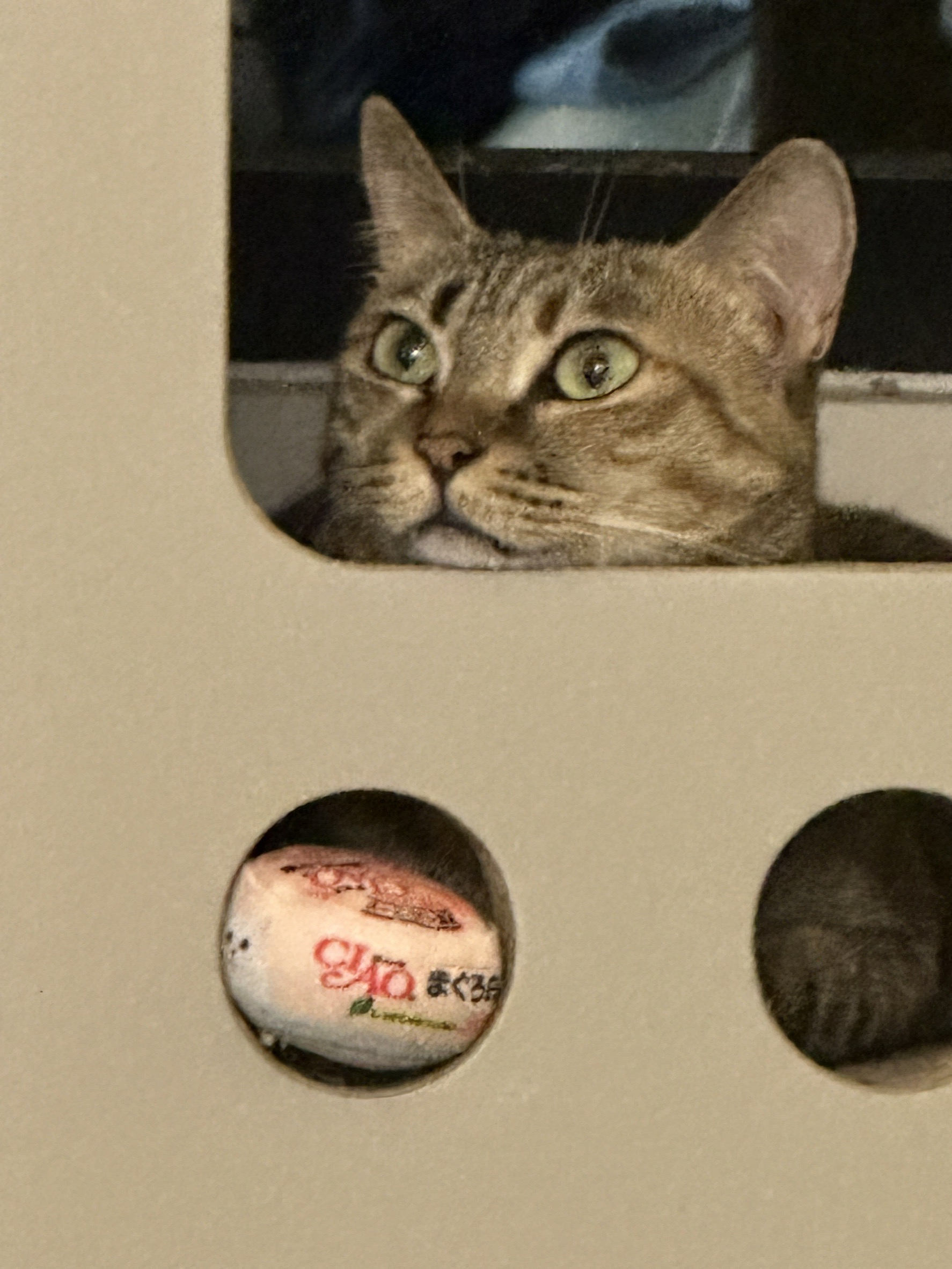 家的藍圖或靈感來源 1